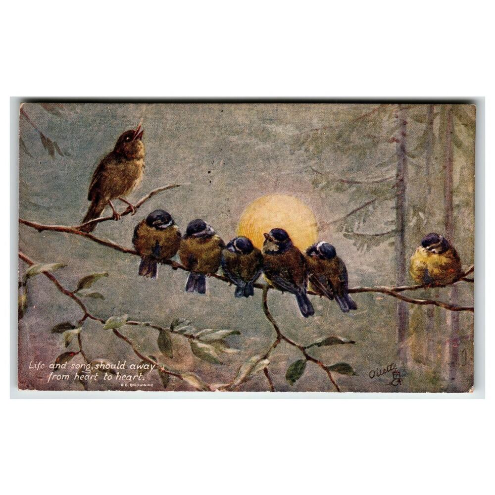 Vintage Oilette Postcard Birds on Branch Singing Sunset Raphael Tuck 1941